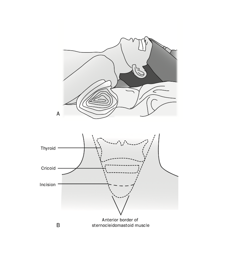 Figure 2-2. Position & Landmarks | ©Linda L. Morris and M. Sherif Afifi. All rights reserved.